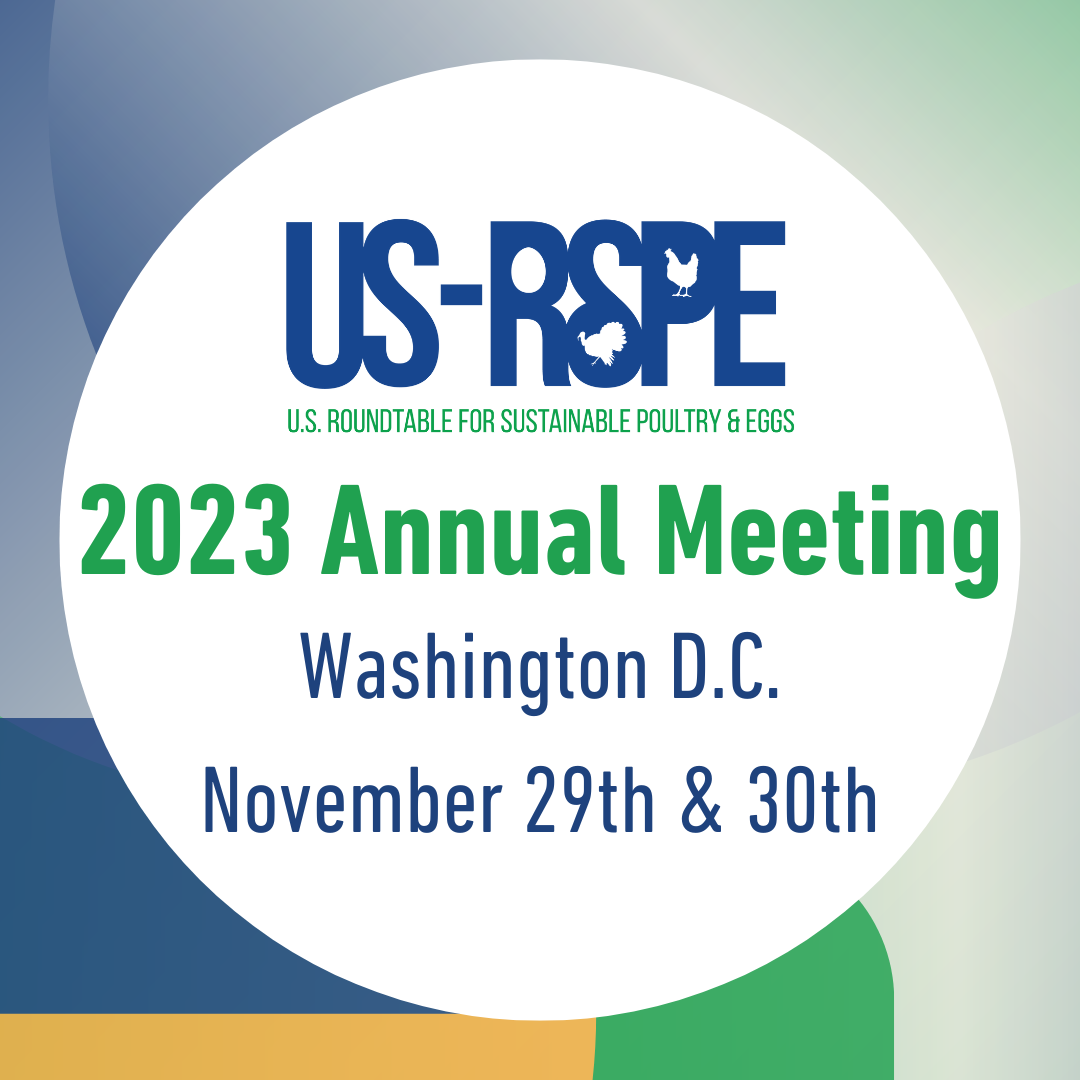 US-RSPE Annual Meeting 2023 Logo