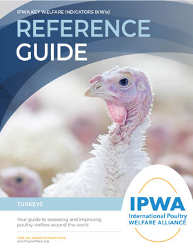 English Turkey Guide