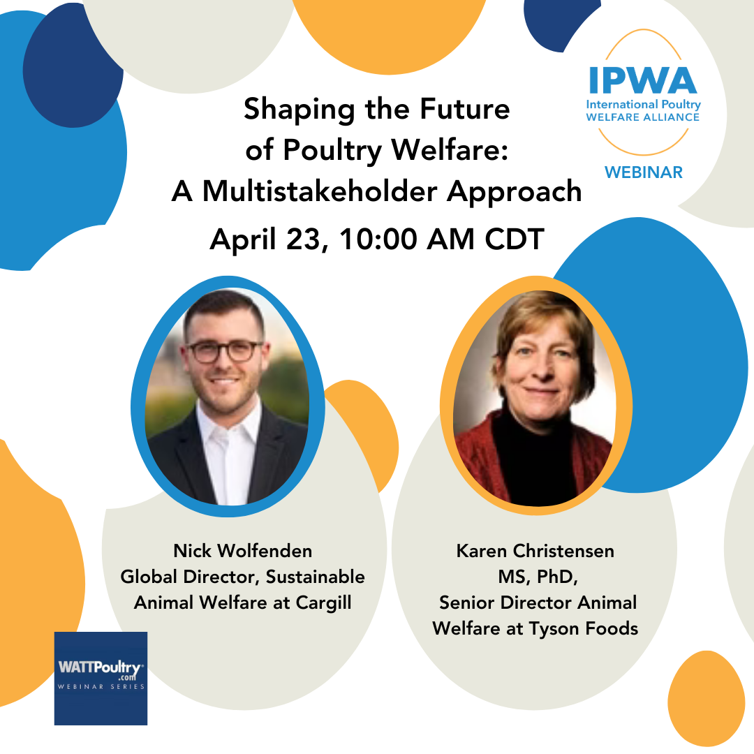 IPWA Webinars